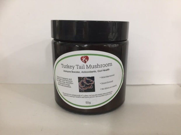 Turkey Tail Mushrooms 50g Broome Natural Wellness - Broome Natural Wellness