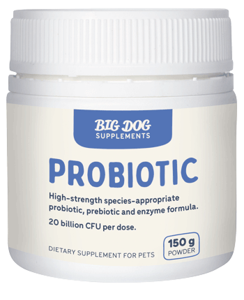 Big Dog Natural Dog Probiotics 150g