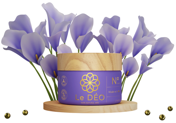 Natural Deodorant and Body Odour Blocker Candelilla Jar 50g Le Deo