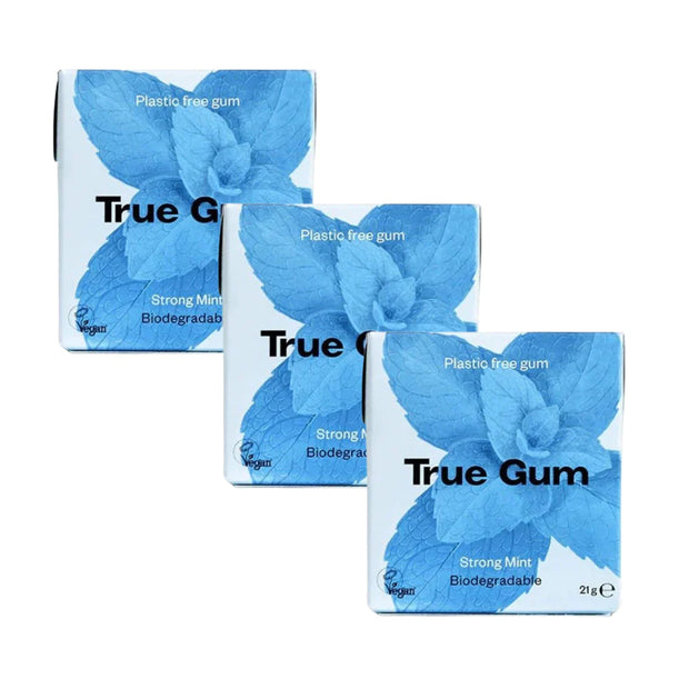 Gum Mint 21g True Gum