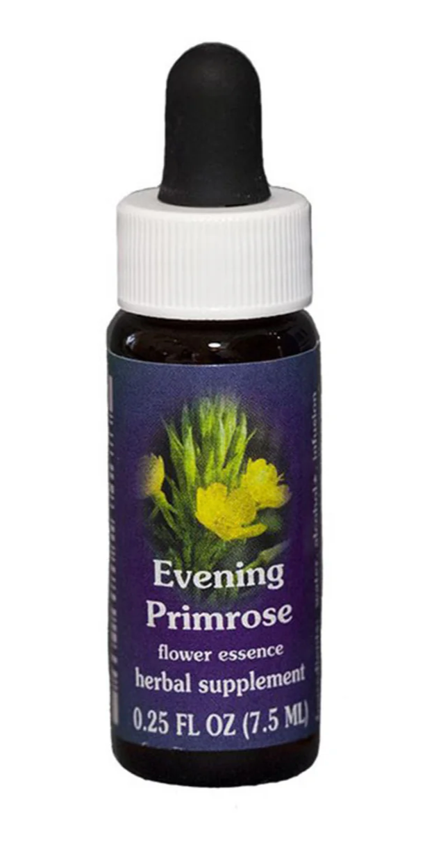 Quintessentials Flower Essence Evening Primrose 7.5ml FES Organic
