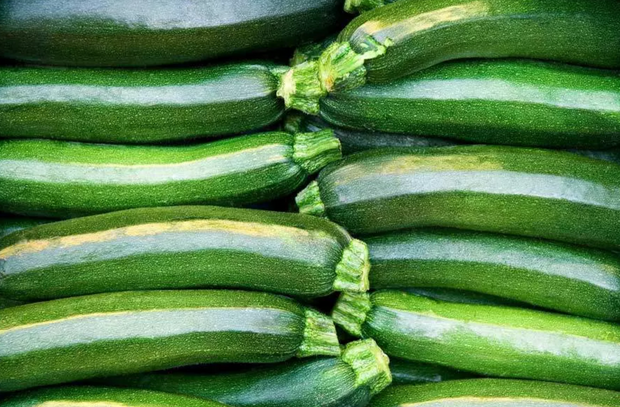 Zucchini