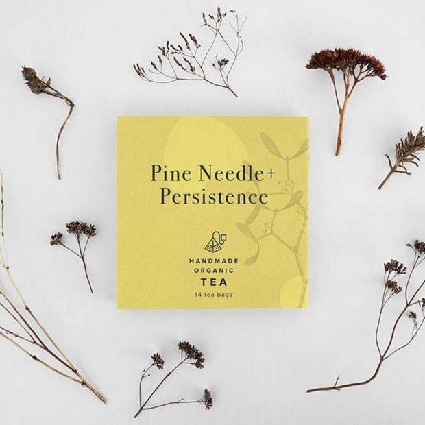 Pine Needle + Persistence 14 Tea Bags The Heart Centred Herb Company