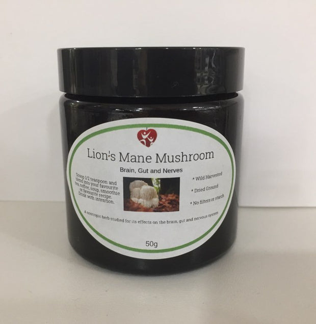Lions Mane Mushrooms 50g Broome Natural Wellness - Broome Natural Wellness