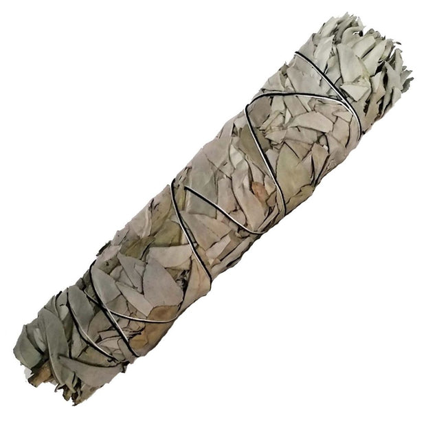 White Sage Smudge Stick Large 23cm - Broome Natural Wellness