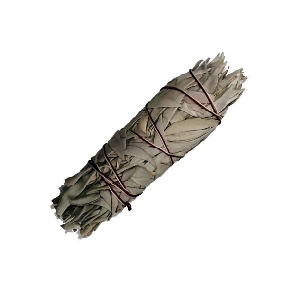 White Sage Smudge Stick Small 12cm - Broome Natural Wellness